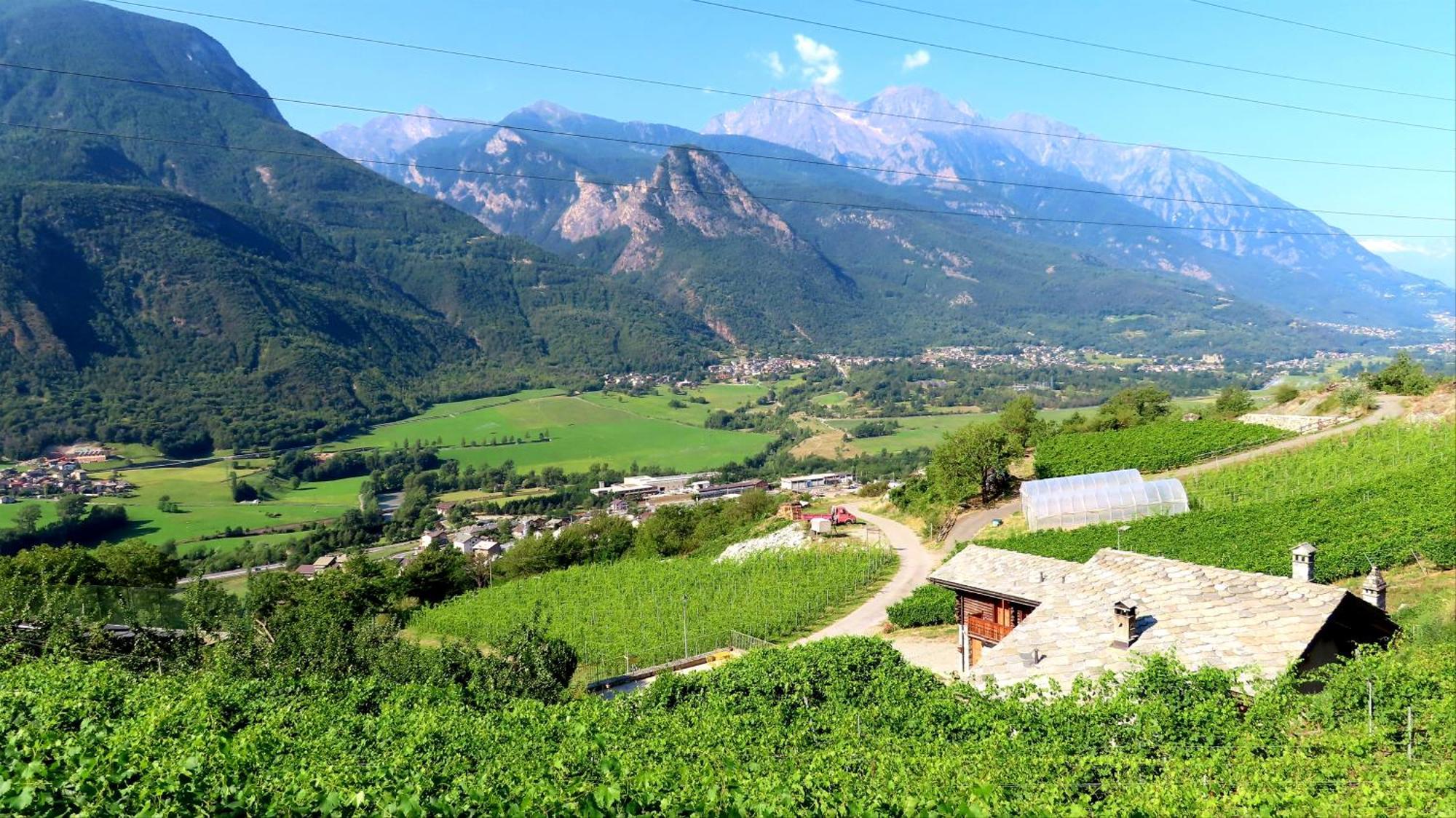 La Vrille - Chambres D'Hotes Verrayes Bagian luar foto