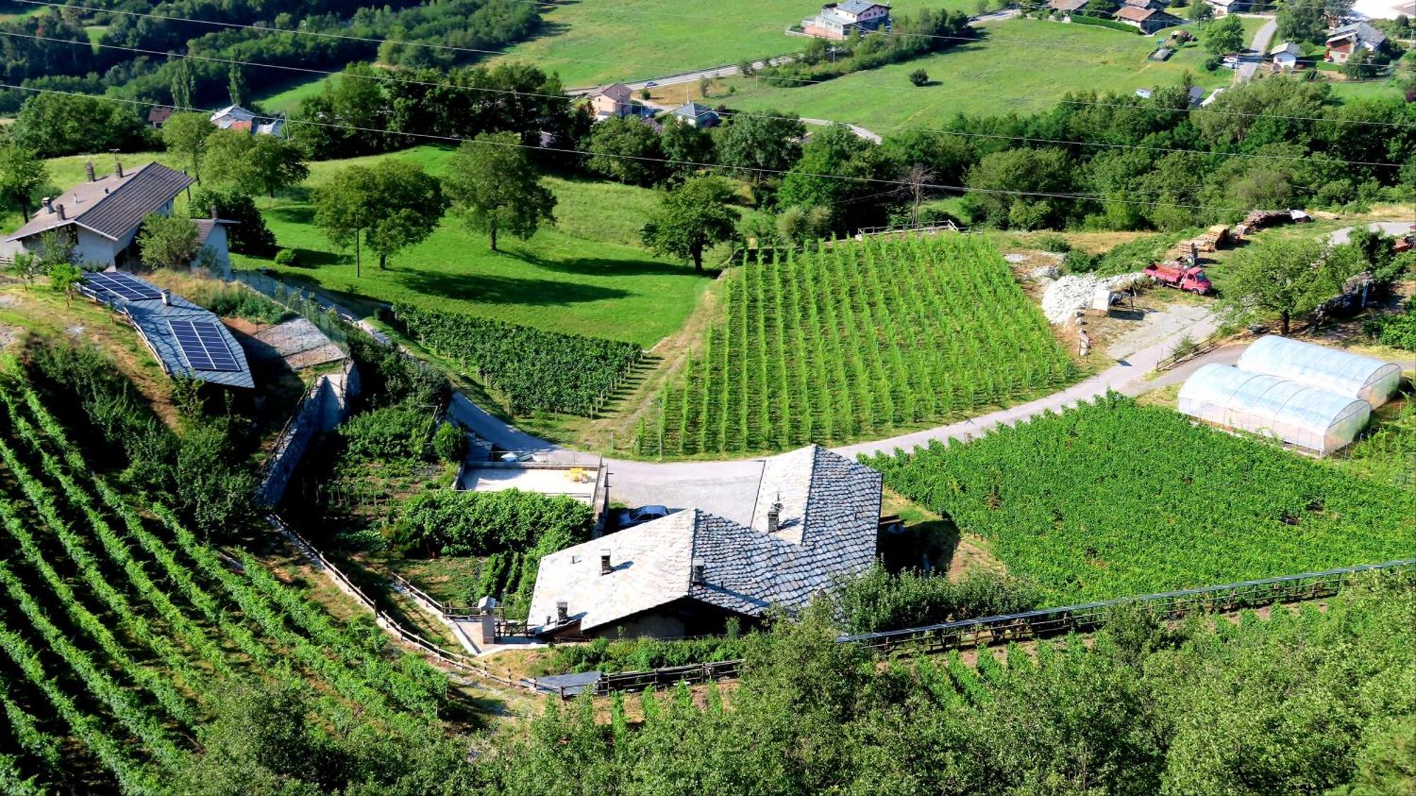La Vrille - Chambres D'Hotes Verrayes Bagian luar foto