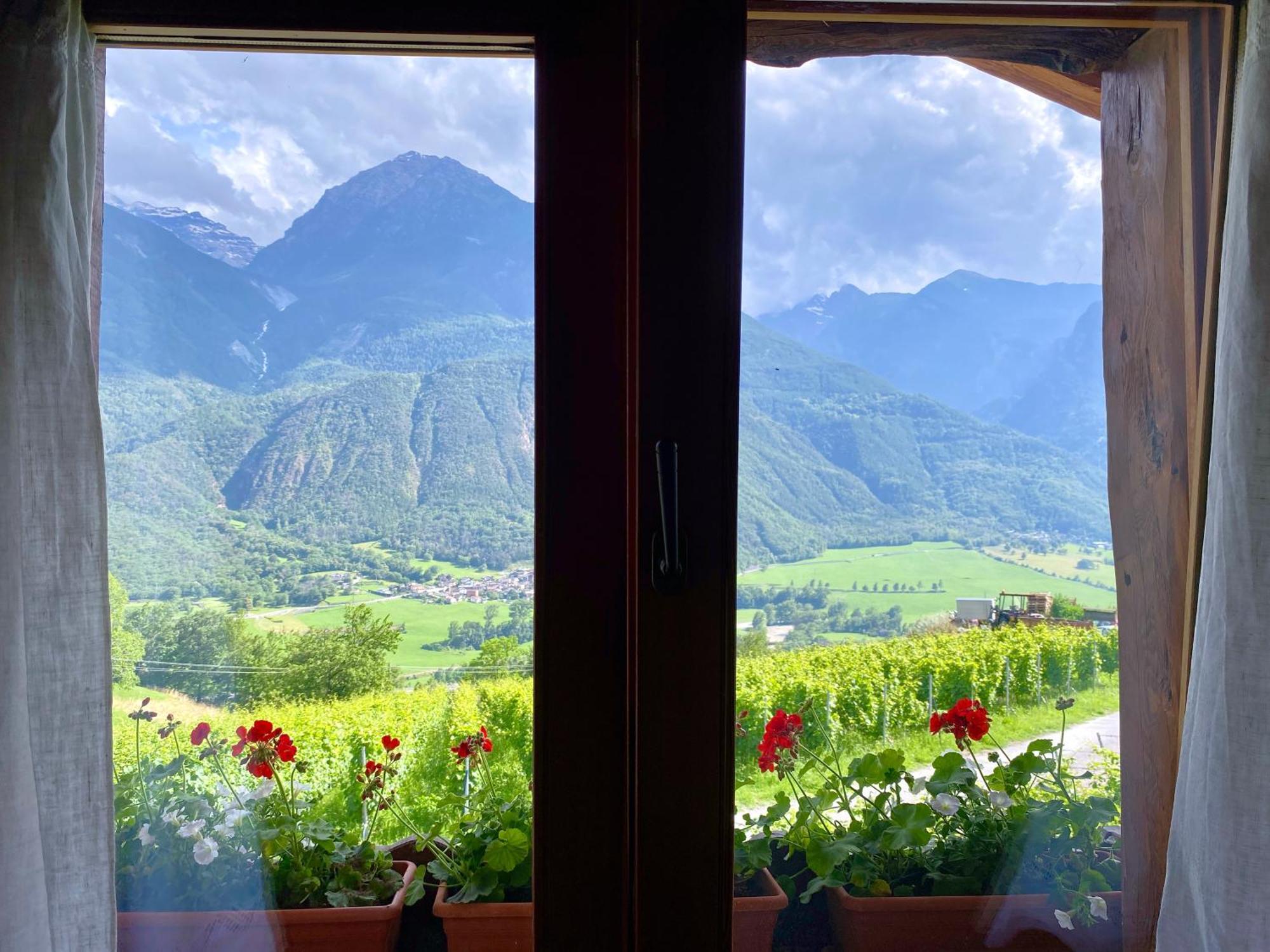 La Vrille - Chambres D'Hotes Verrayes Bagian luar foto